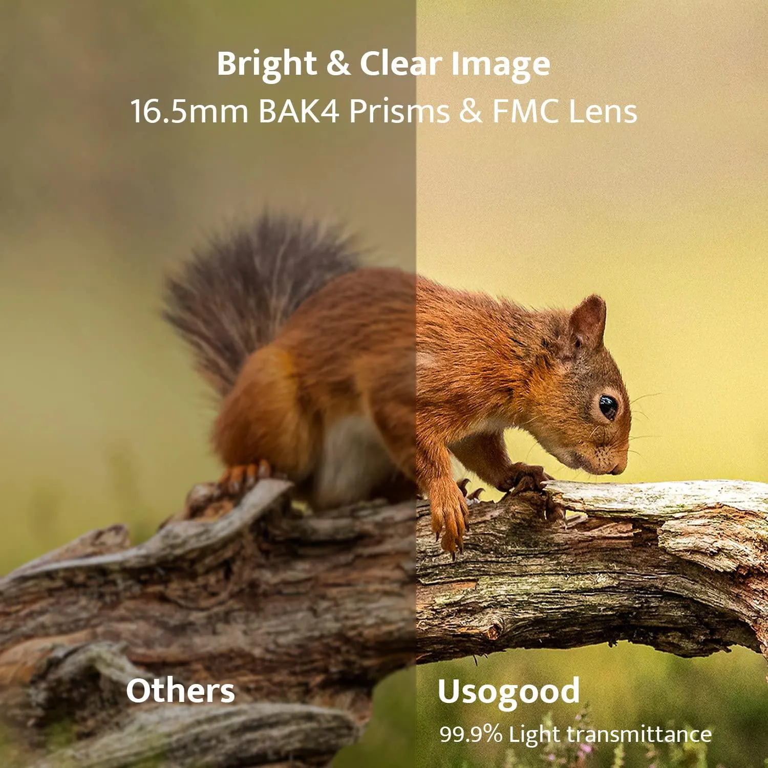 12x50 High Definition Binoculars with Phone Adapter and Tripod.