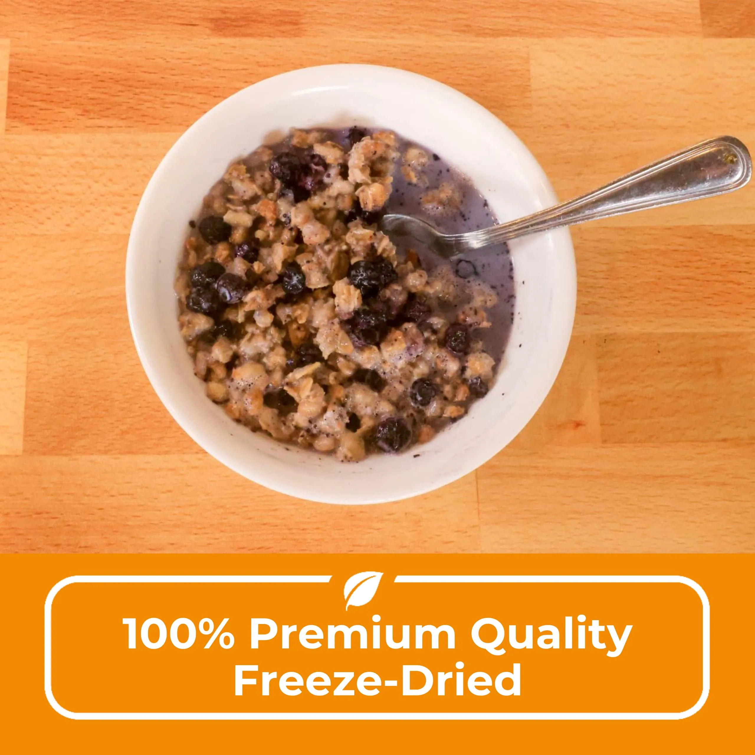 Nutristore Freeze-Dried Blueberry Granola - 13 Servings #10 Can