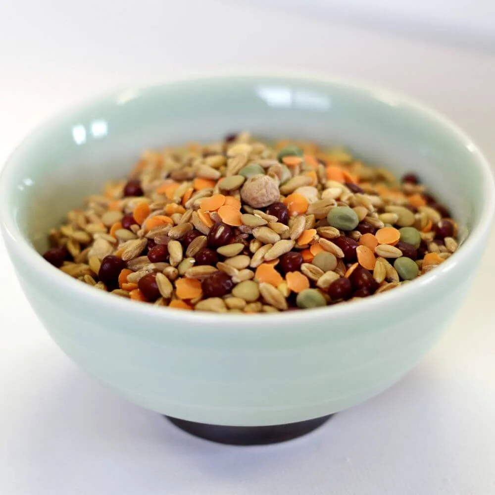 Rainy Day Foods Sprout Seed Mix 1.5 lbs Mylar Bag